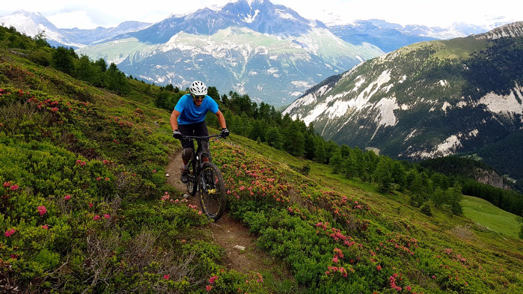 T'aime ça le rhodo?