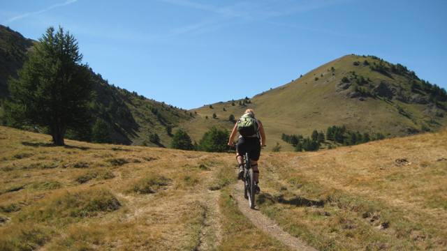 #14 Collette de Gilly : Les marmottes sont de sortie, le pelage déjà bien foncé. Et l Collette de Gilly : Les marmottes sont de sortie, le pelage déjà bien foncé. Et l'herbe jaunie, l'automne approche !