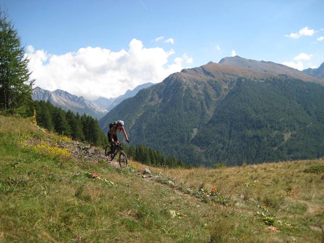 #15 Descente sur Ristolas : Que du bonheur ce sentier... Descente sur Ristolas : Que du bonheur ce sentier...