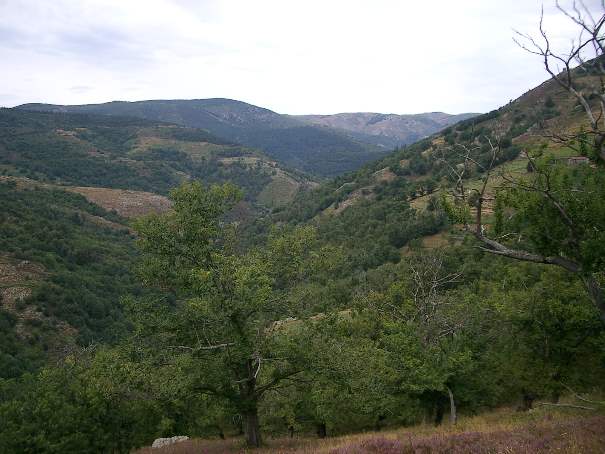 #21 Depuis le fin fond le chemin parcouru. Depuis le fin fond le chemin parcouru.