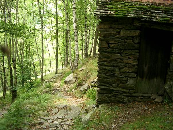 #19 Petite grange des Cévennes. Petite grange des Cévennes.