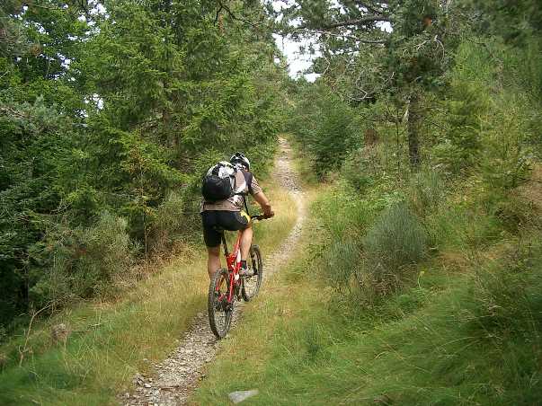 #1 Pratauberart : En direction de Loubarèsse Pratauberart : En direction de Loubarèsse