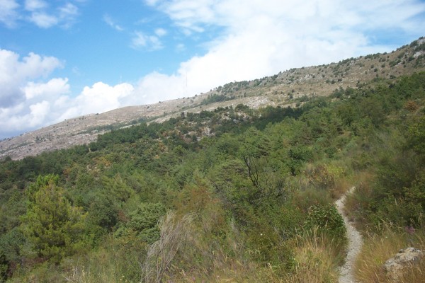 #2 Sentier de montée : Alternance entre poussettes, roulages et portages. Sentier de montée : Alternance entre poussettes, roulages et portages.