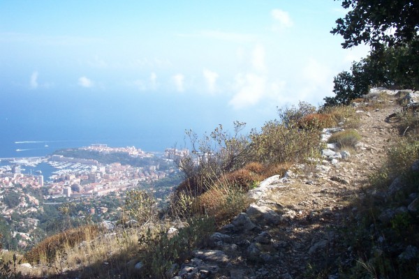 #6 Mont Bataille : En remontant au Mt Bataille Mont Bataille : En remontant au Mt Bataille