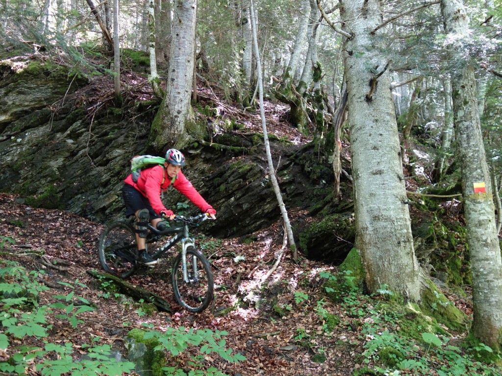 Bien regarder où on met sa roue avant...