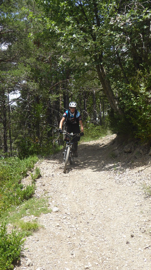 #38 Dans le bas Dans le bas