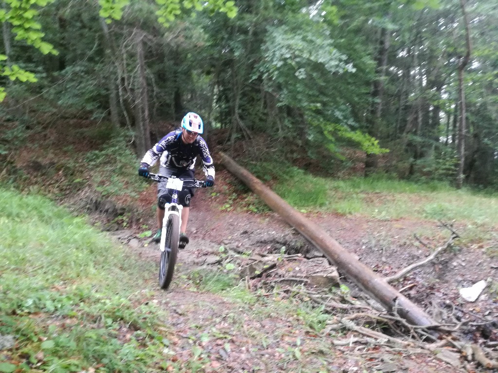 #17