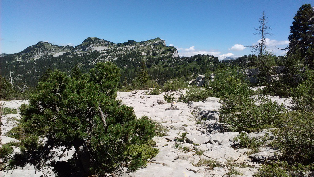 #6 La croix du Bénitier La croix du Bénitier