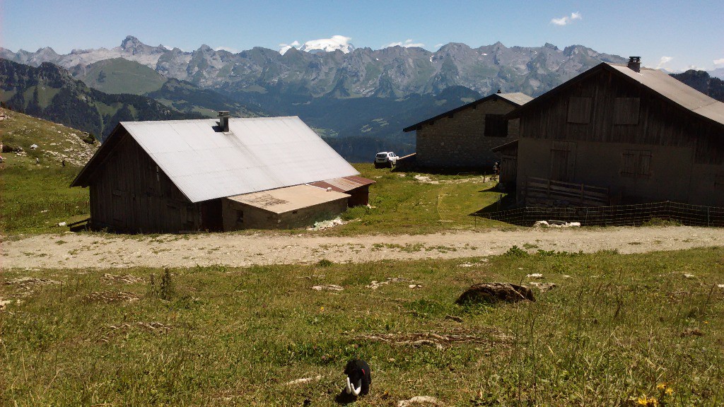 Vue sur le Mont Blanc depuis les chalets des Auges