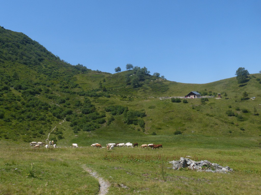 #6 Refuge du Plan Refuge du Plan