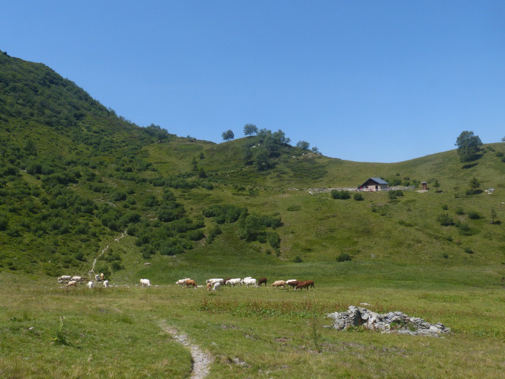 Refuge du Plan