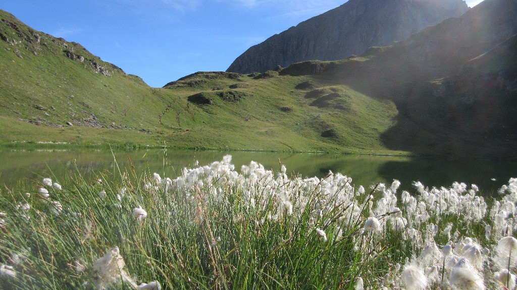 Au bord du lac