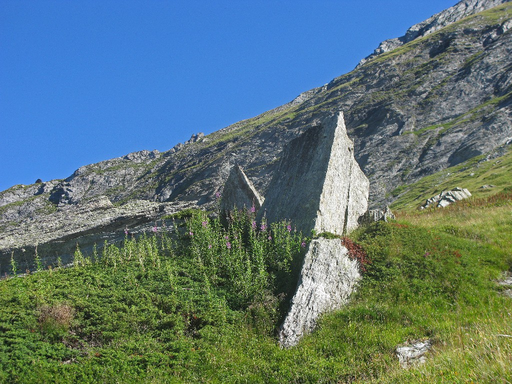 Sous la Cave de Plan Fournier