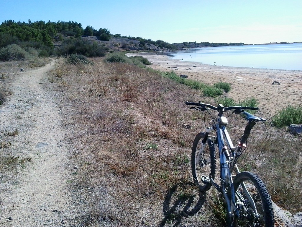 Final au bord de l'étang