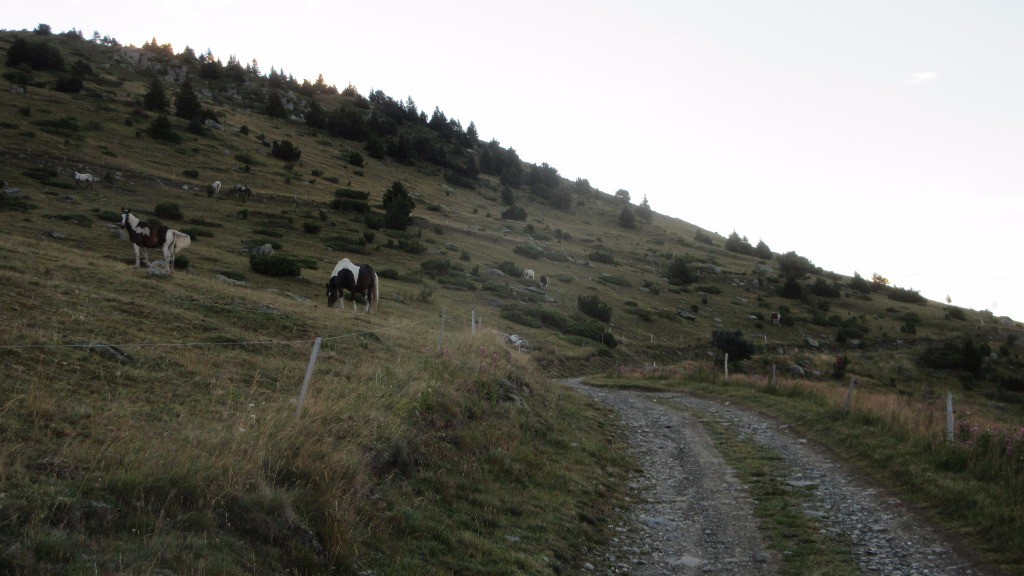 Piste au dessus du Thyl