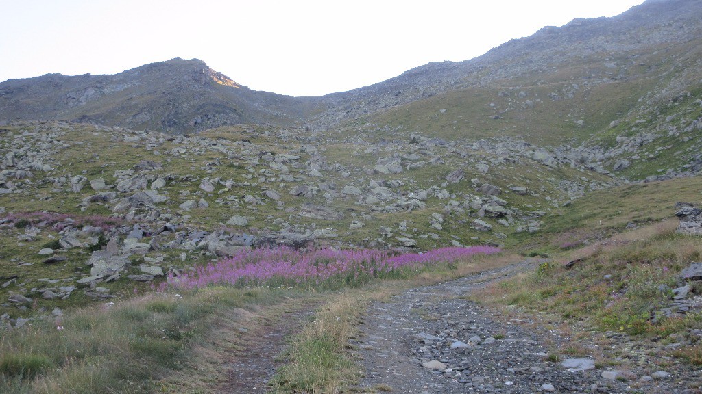 Piste sous le Col de la Vallée étroite