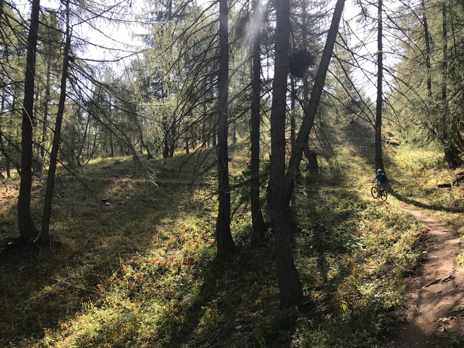 #7 Plaisir des yeux pendant la montée au col Plaisir des yeux pendant la montée au col