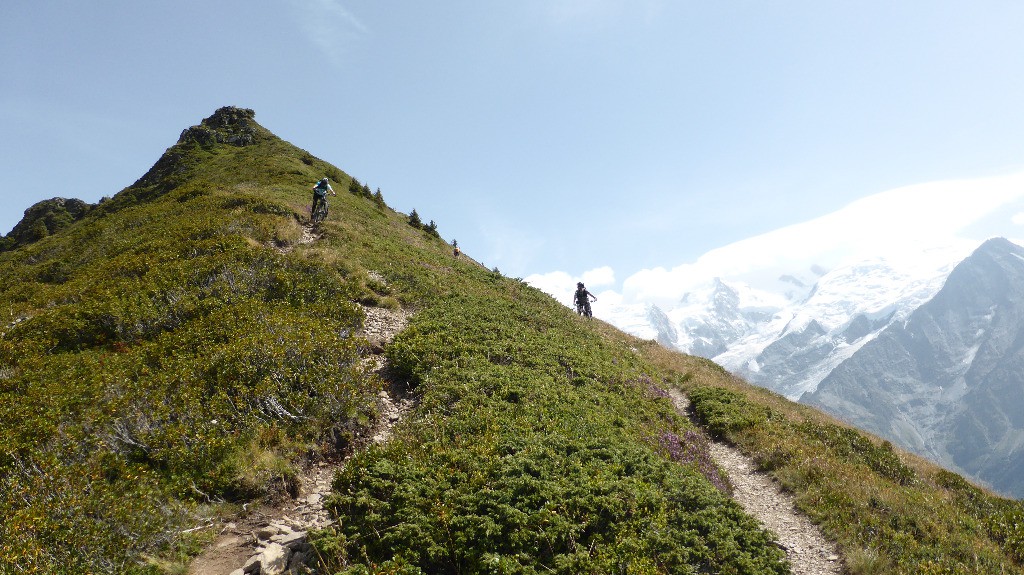 #24 Dans l Dans l'arête