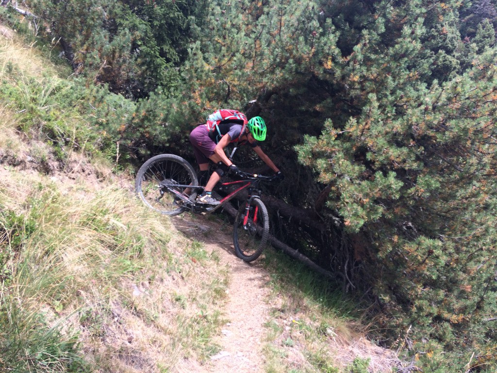#12