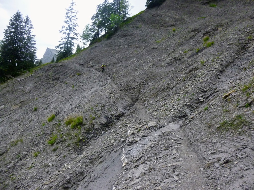 #8 Ravine #2 : délicat Ravine #2 : délicat