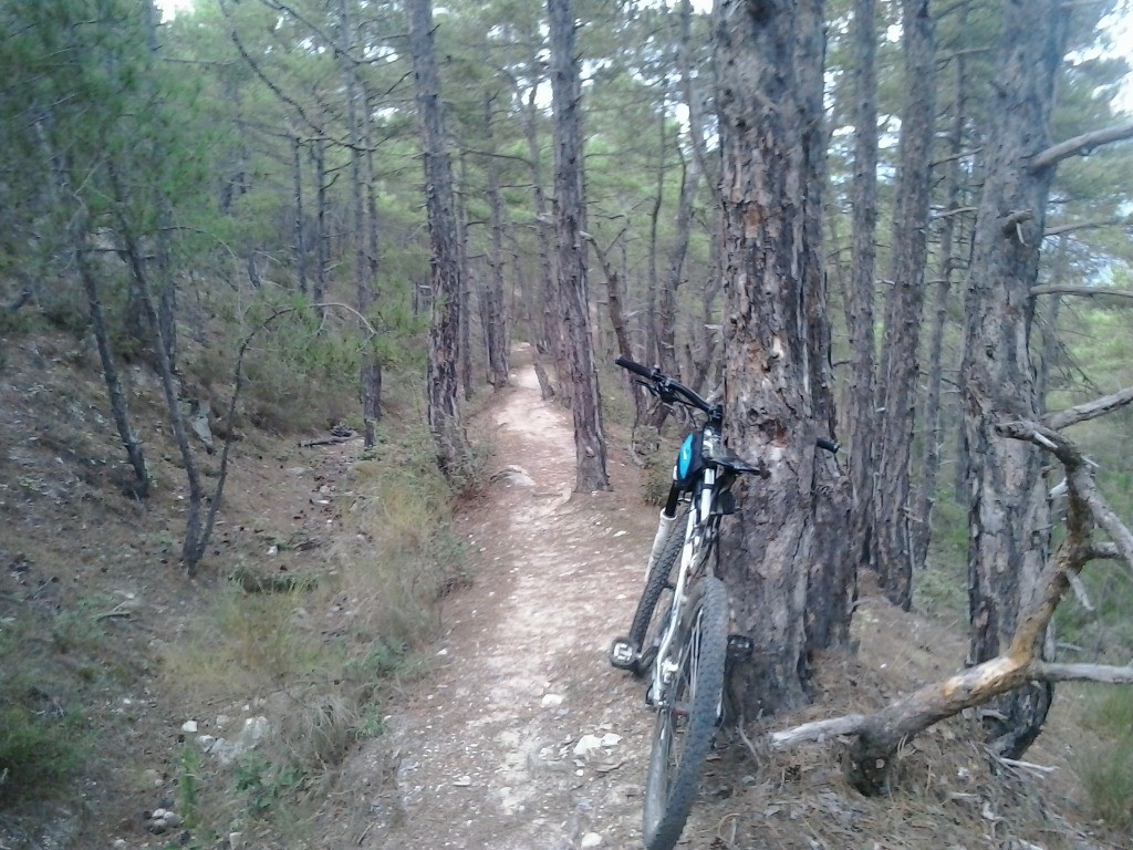 #25 Vers le col de Vernet Vers le col de Vernet