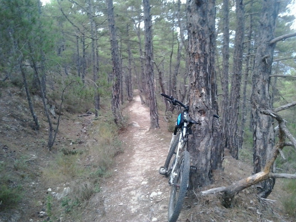 Vers le col de Vernet