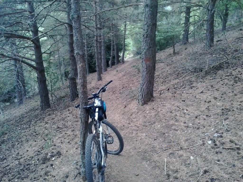 Petit passage en pinède sous le tour de Goa