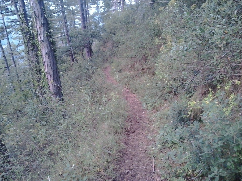 Sentier qui file sur Villefranche