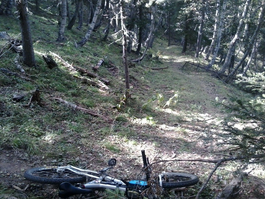 Sentier au dessus des Mattes Rouges