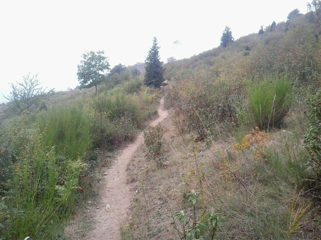 Le sentier après la tour de Goa