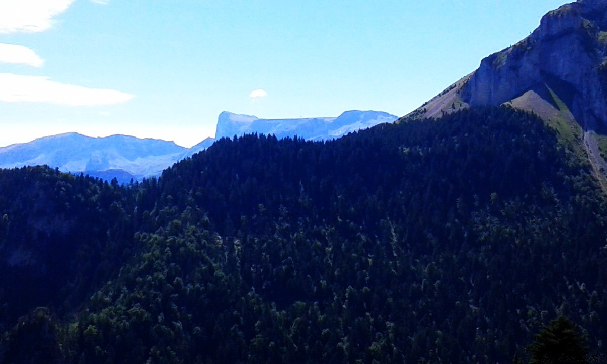 Plateau de Bure