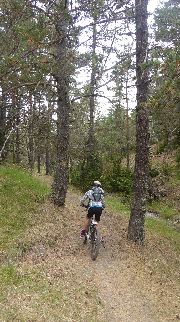 #10 Le sentier se faufile entre les arbres Le sentier se faufile entre les arbres