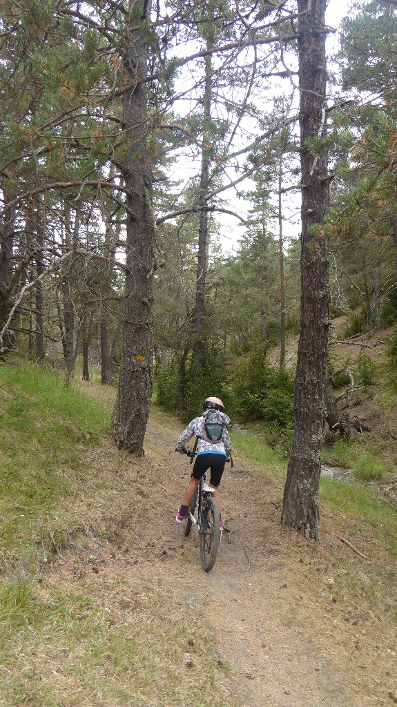 Le sentier se faufile entre les arbres