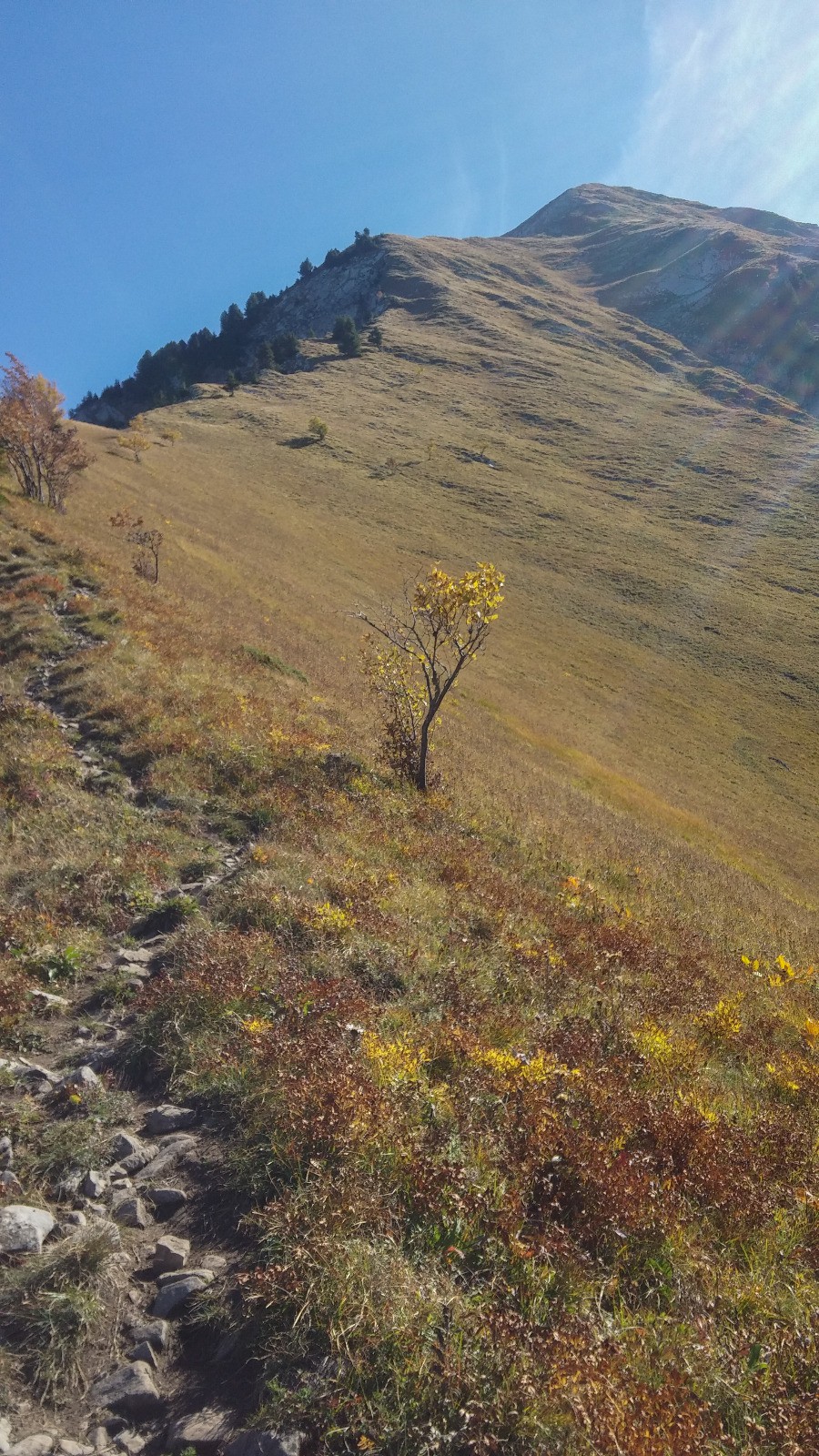 Sentier menant au Pécloz 