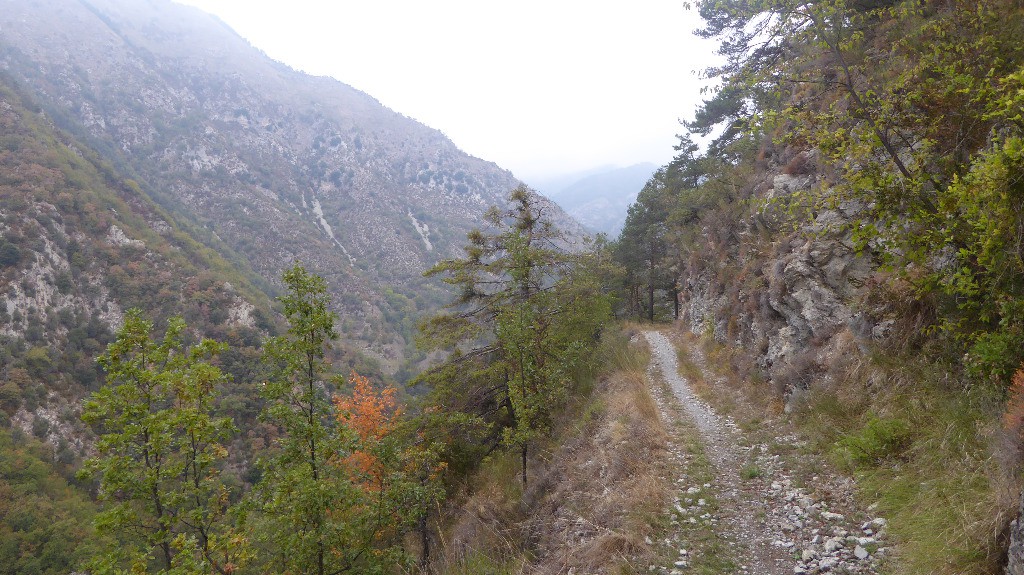 #2 Tira Andrani Tira Andrani