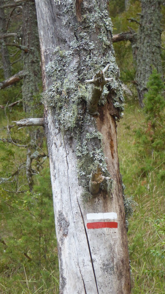 #7 GR 5 oblige GR 5 oblige