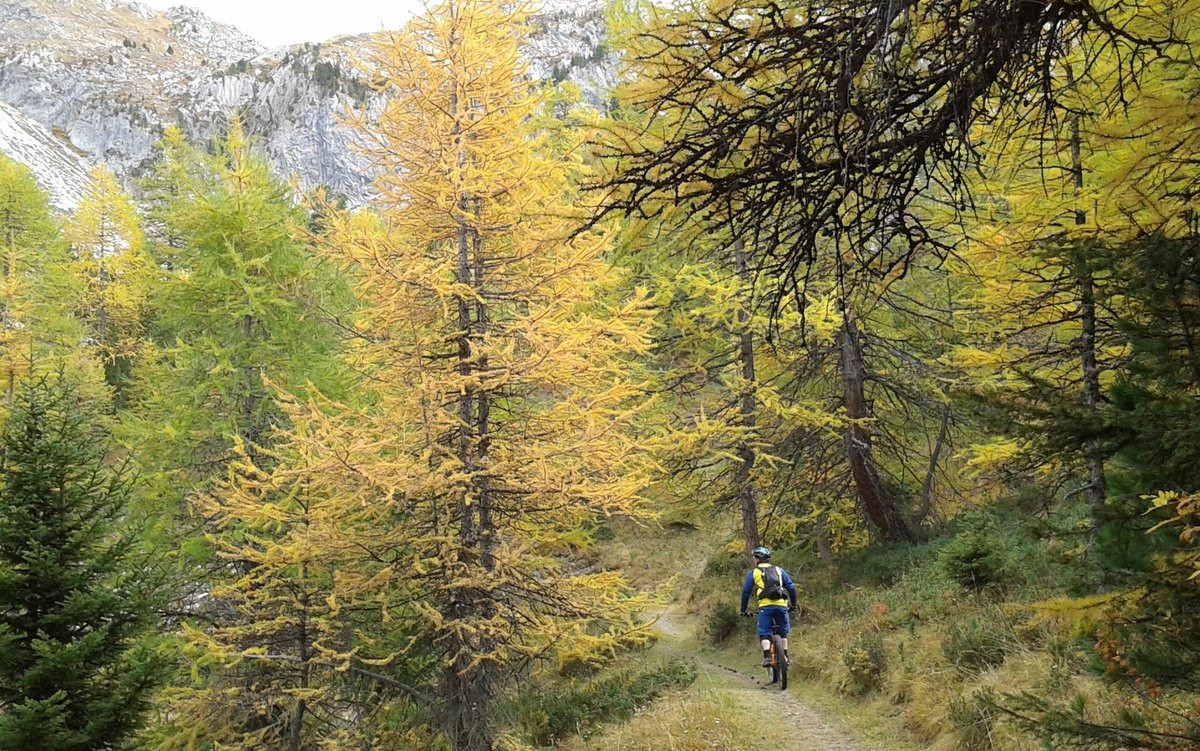 #18 quelles couleurs ! quelles couleurs !