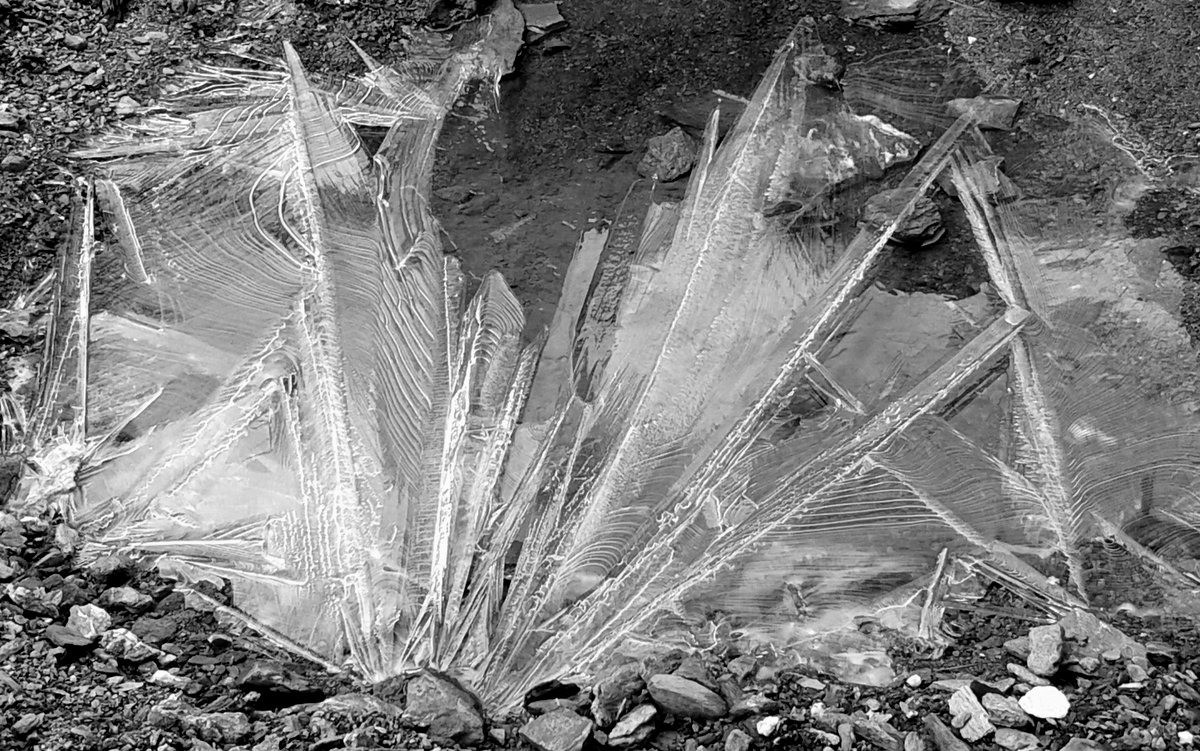 #2 parfois de glace parfois de glace