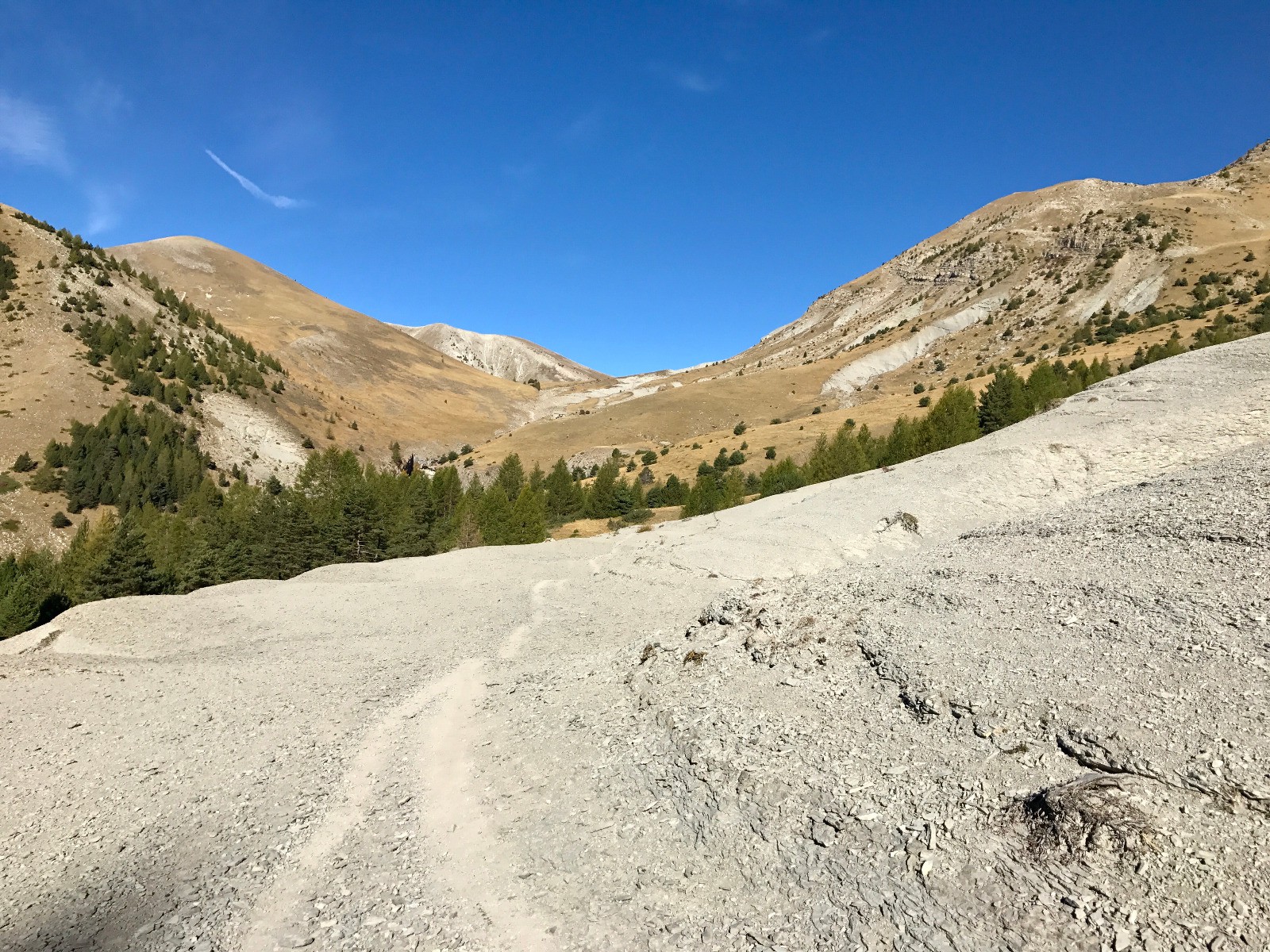 On sort de la tranche de terres noires pour celle de paturage