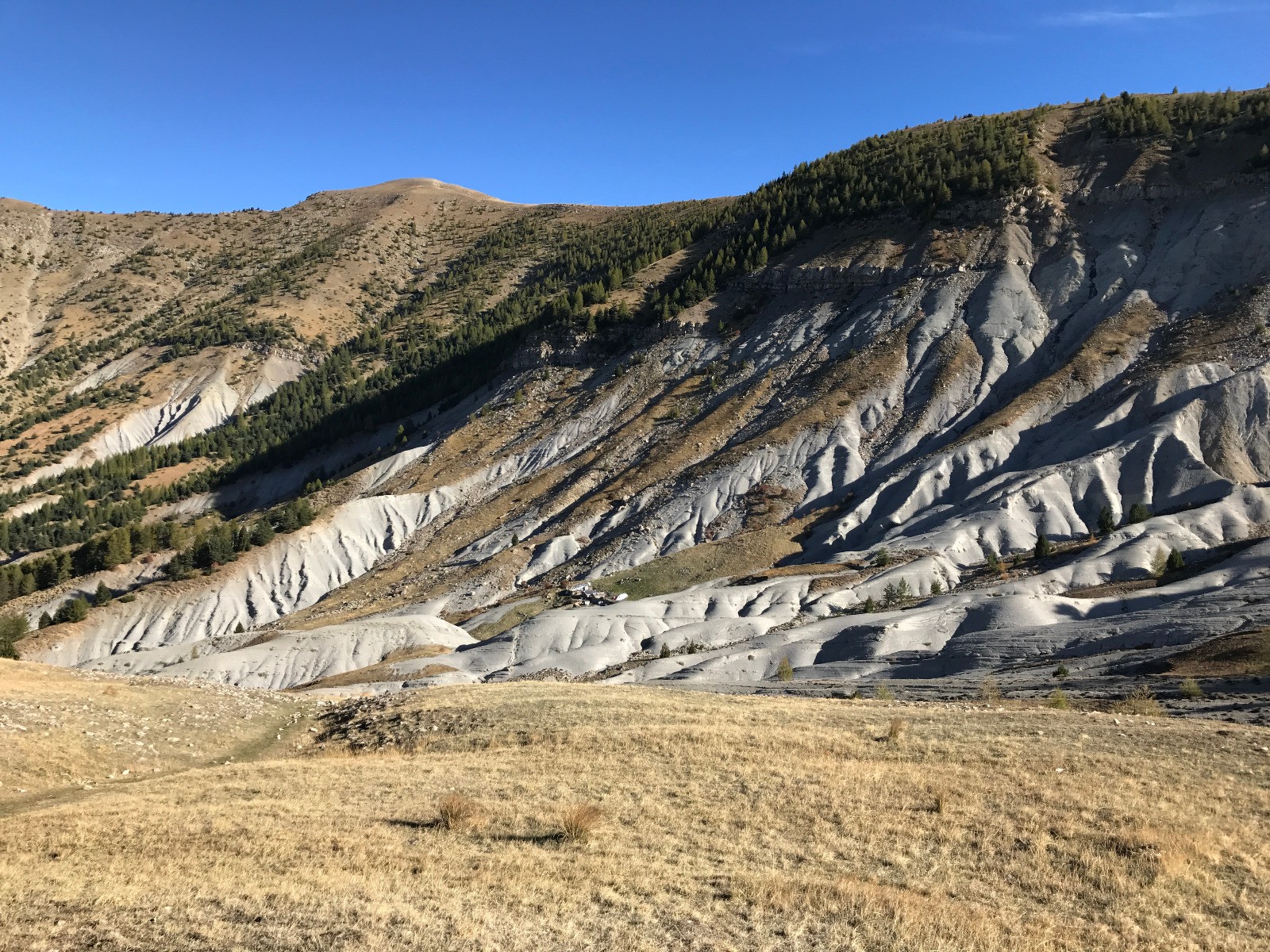 La cabane des Abeurons et ces belles terres noires qui nous rappellent qu'on est dans le zeroquatre