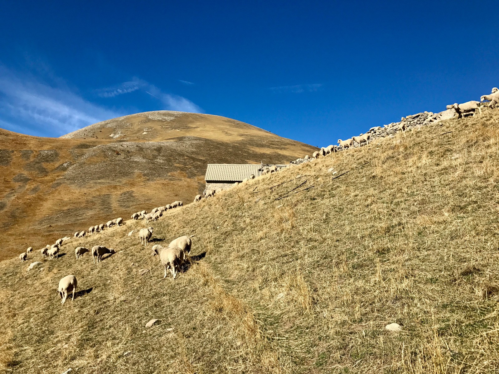 La cabane de Chalufy pas encore désertée