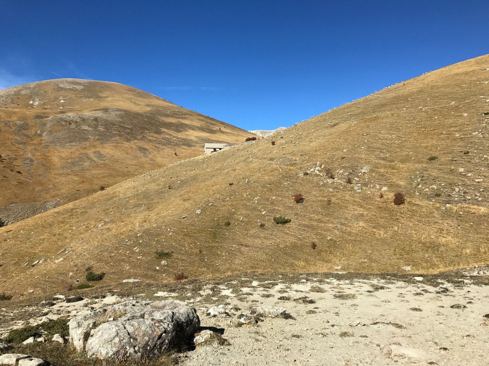 Cabane de Chalufy