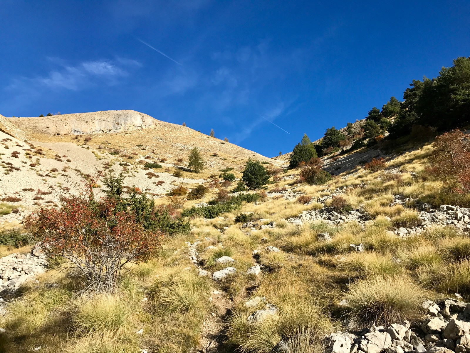 #3 Sortie en vue (Groum) Sortie en vue (Groum)