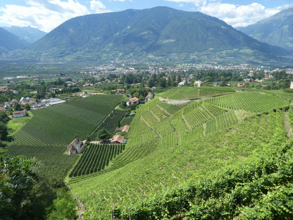 #66 Descente sur Merano et ses vignes Descente sur Merano et ses vignes