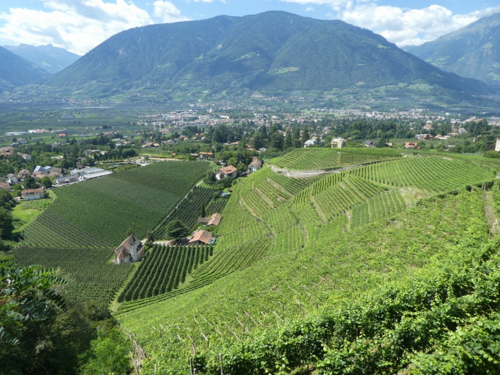 Descente sur Merano et ses vignes