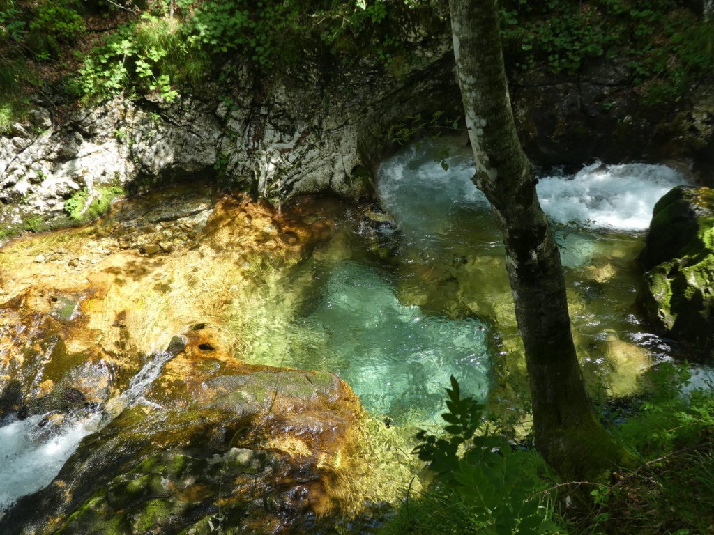 #7 Le frioul, c Le frioul, c'est sauvage mais ça peut être beau !