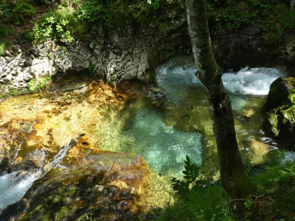 Le frioul, c'est sauvage mais ça peut être beau !