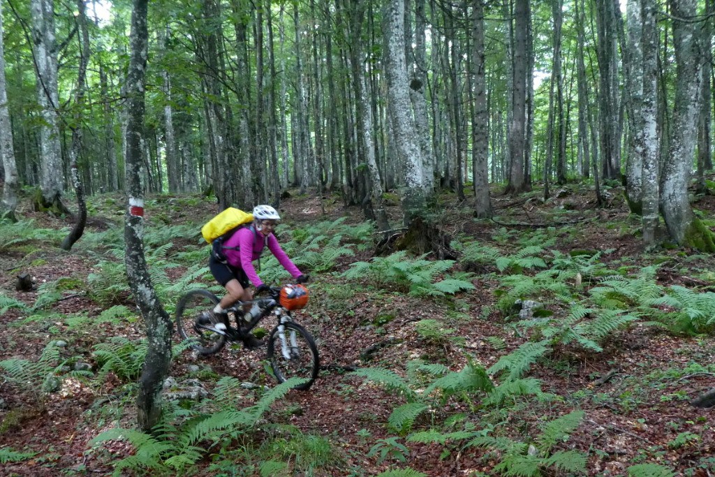 Sentier de descente en forêt parfois peu marqué.