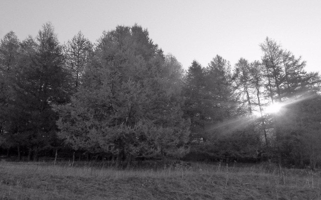 #6 le soleil perce le soleil perce