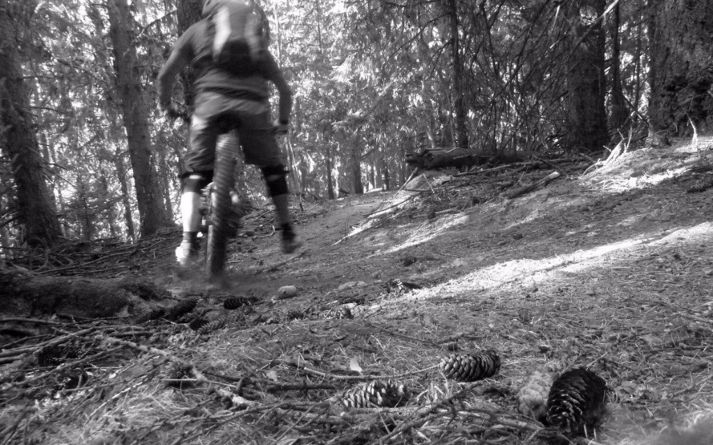 #29 et bing, bing. Enduro pommes de pin et bing, bing. Enduro pommes de pin